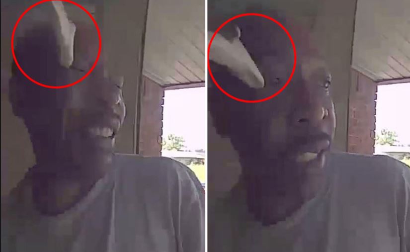 Kur derën ta hap gjarpri dhe të hidhet në sy (VIDEO)