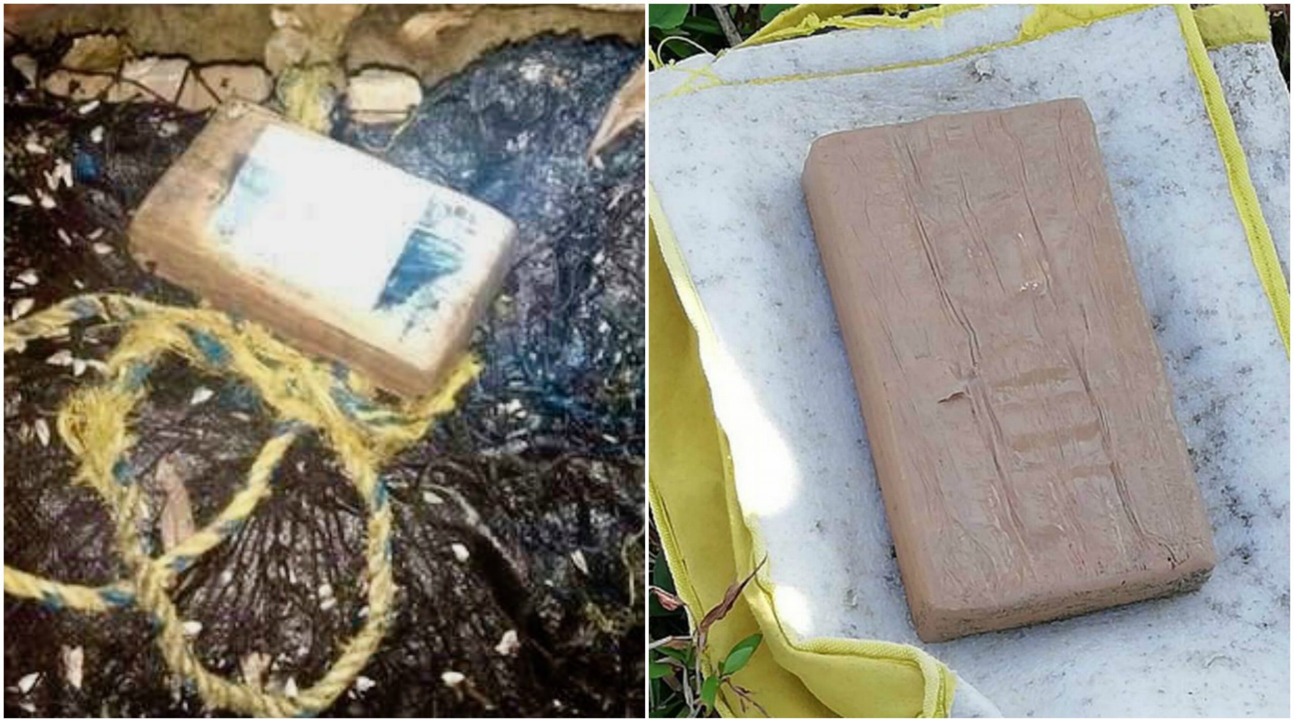 Peshkatarët po kapin pako kokaine me vlerë miliona euro!