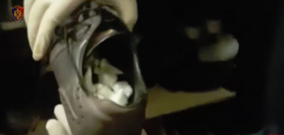 Fshehu kokainën brenda këpucëve, policia arreston 37-vjeçarin (VIDEO)
