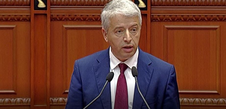 Lleshaj: Sulmet ndaj Policisë së Shtetit nuk kanë cënuar misionin e saj