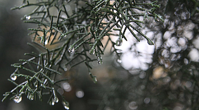 Dëborë e temperatura deri në 28 gradë, si do të jetë moti në Maj