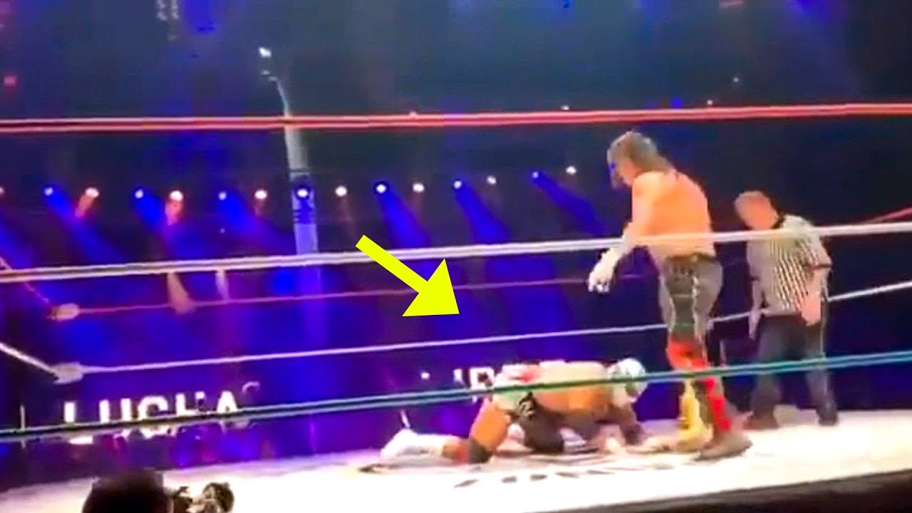 Ylli i Wrestling vdes në ring (VIDEO)