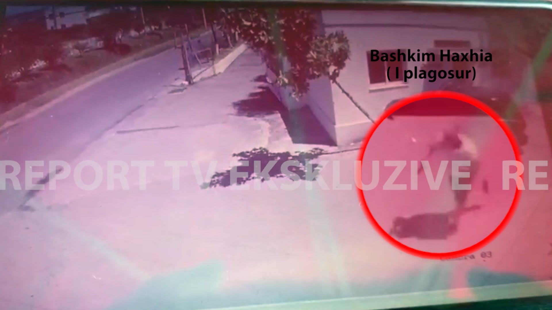 VIDEO/ Si u qëlluan me 2 kallashë Plaurent Dervishaj e Jul Meçaj! Pranga shokut të tyre Bashkim Haxhia