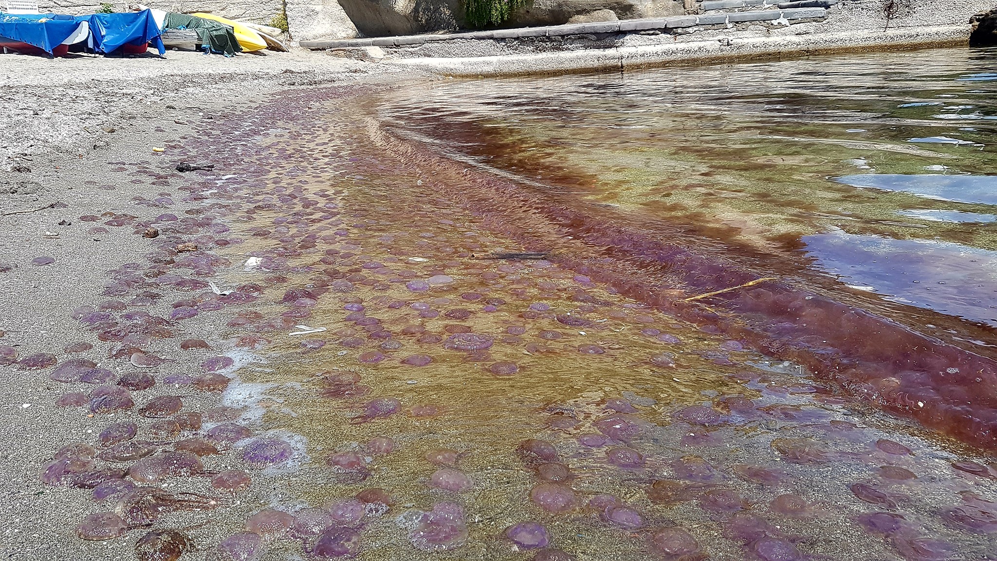 Napoli pushtohet papritmas nga kandilat e detit