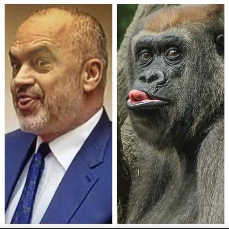 Arrestimet në Tropojë, Berisha: Reprezalje hakmarrëse e Edi Ramës