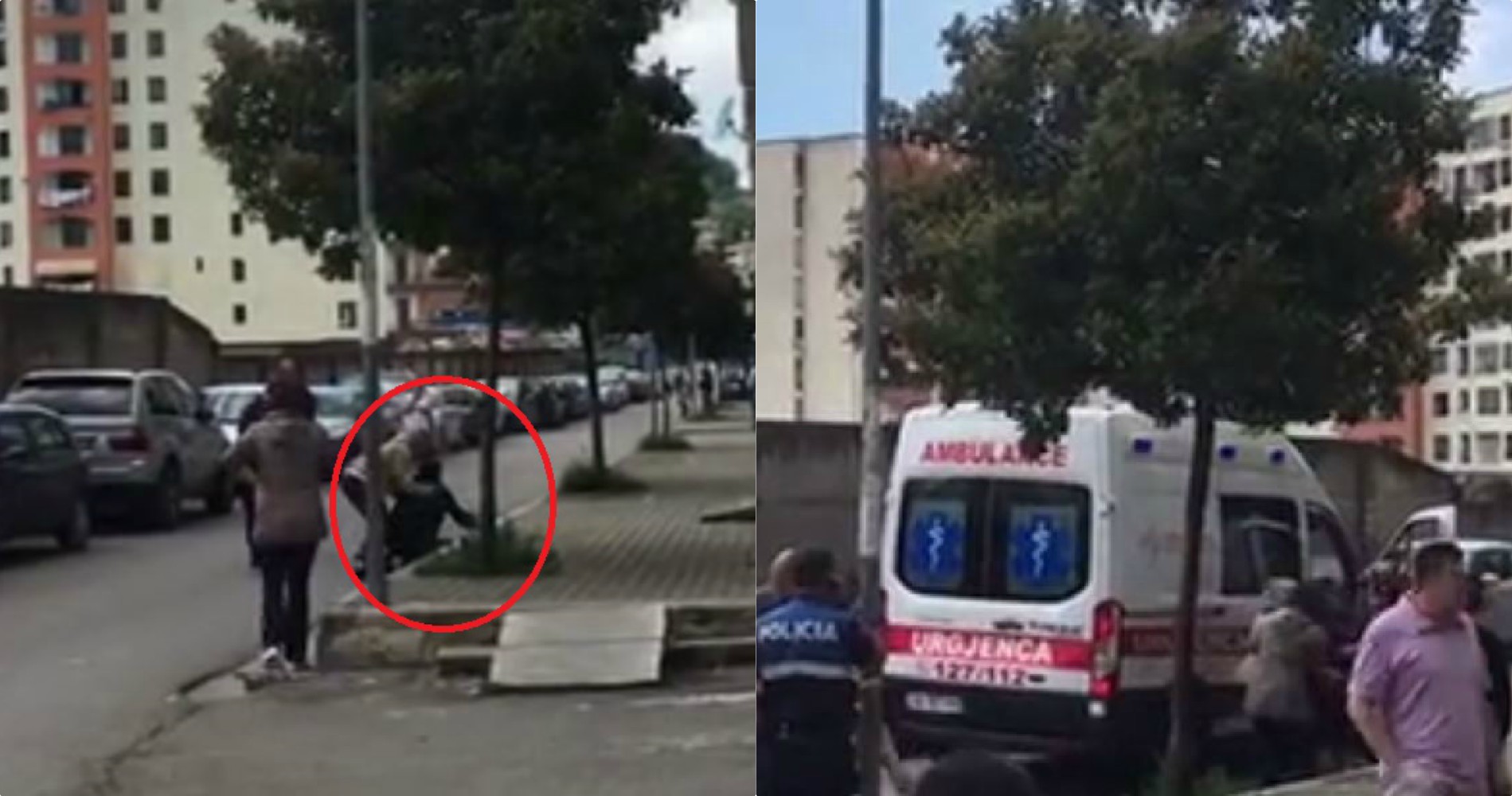 DETAJE/ E kishin larguar nga puna si mësues, i riu hidhet nga pallati