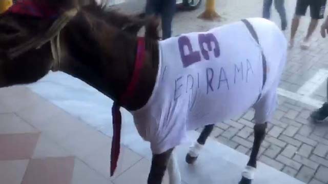 Çudira shqiptare! Gomari “Rama ik” në ambientet e qendrës së votimit (VIDEO)