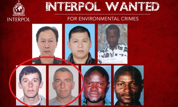 Interpol publikon listën e më të kërkuarve, mes tyre dy shqiptarë