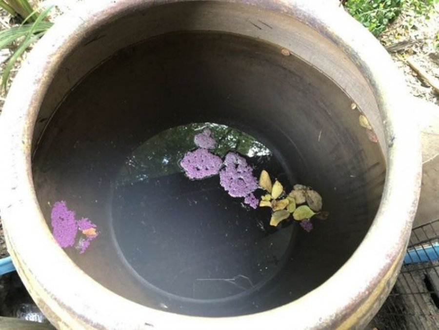 Prindërit i fikin Wi-Fi, ai i helmon!