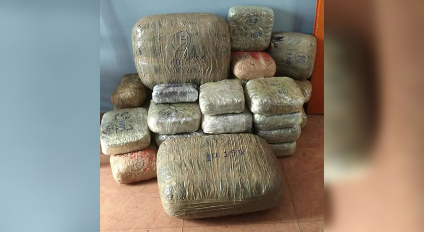 Sekuestrohet marijuanë në kufirin e gjelbër, në pranga 3 shqiptarë