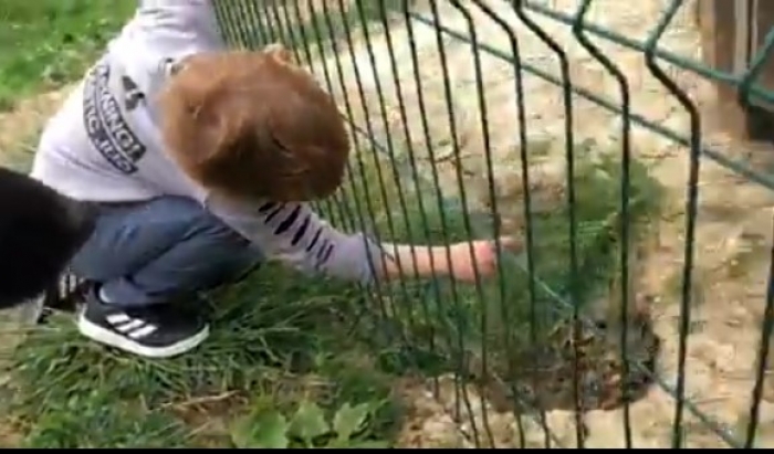 Rama publikon videon me Zahon: Babush shihe një… (VIDEO)