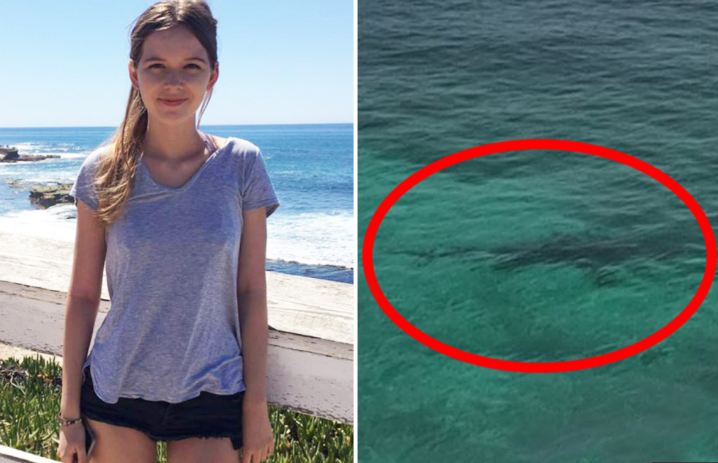 Studentja 21-vjeçare sulmohet për vdekje nga tre peshkaqenë