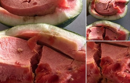 “Shpërthen” gazetarja nga Durrësi: Në ferma rritet vdekja, në tregje shitet vdekja! Ku është ligji që i dënon me 3 vite burg? (FOTO)