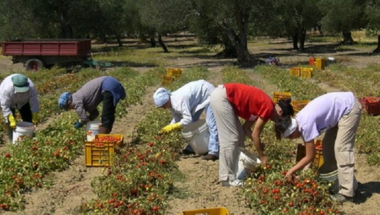 Shfrytëzonin femrat në punë, arrestohen shqiptarët (EMRAT)