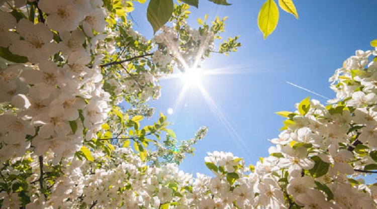 Parashikimi i motit, e hënë 17 qershor