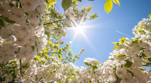 Parashikimi i motit, e mërkurë 12 qershor