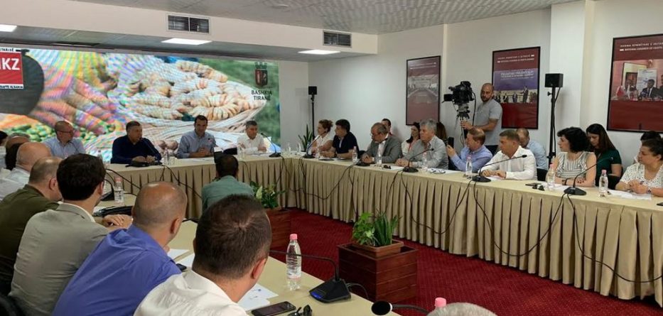 Bulevardi Zogu i Parë do të kthehet në zonë komerciale, me lokale e firma të njohura