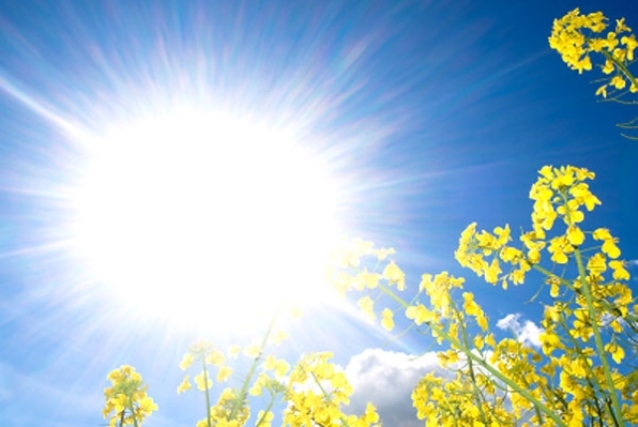 Parashikimi i motit, e enjte 27 qershor