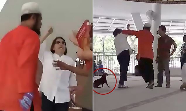 Lejoi qenin të hynte në xhami, gruaja katolike rrezikon burgun