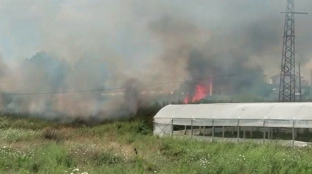 Zjarri rrezikon shtëpi dhe sera rreth “Kënetës së zezë”