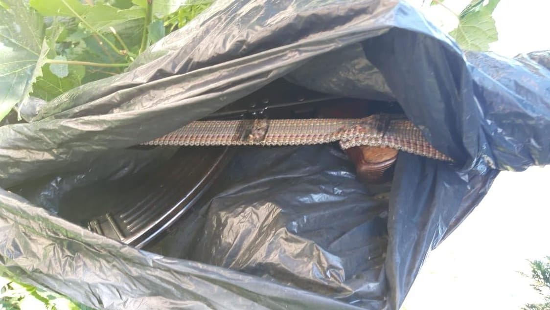 Kultivonte drogë në banesë, arrestohet vlonjati