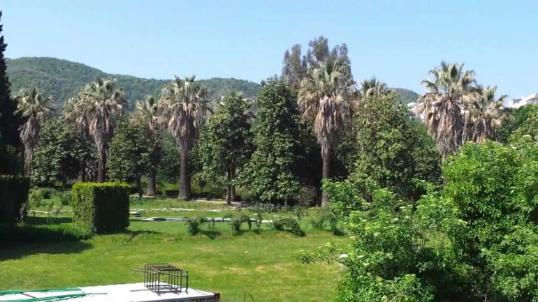 Kopshti Botanik në pronësi të Bashkisë, reagon FSHN: Vendim arbitrar