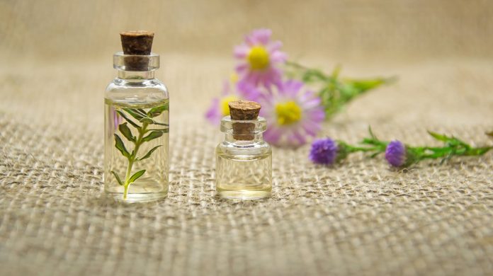 Disa nga aromat që mund të largojnë mushkonjat