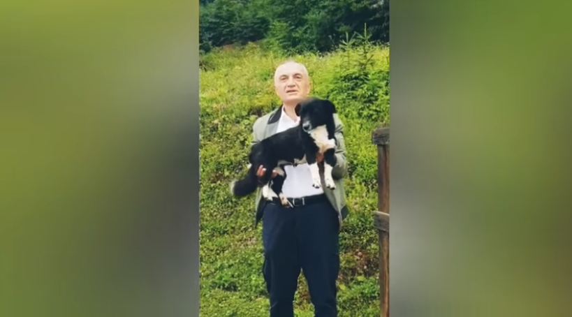 Meta jep mesazhin nga Bosnja: Qentë me macen nuk shkojnë…. shpresoj të takohen (VIDEO)