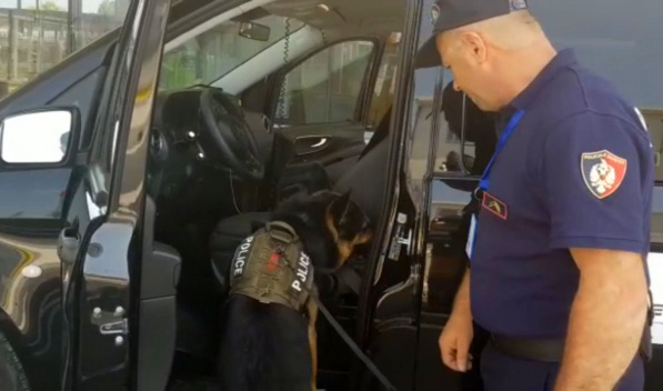 Për Kanada me viza false, ndalohen 2 turq në Rinas