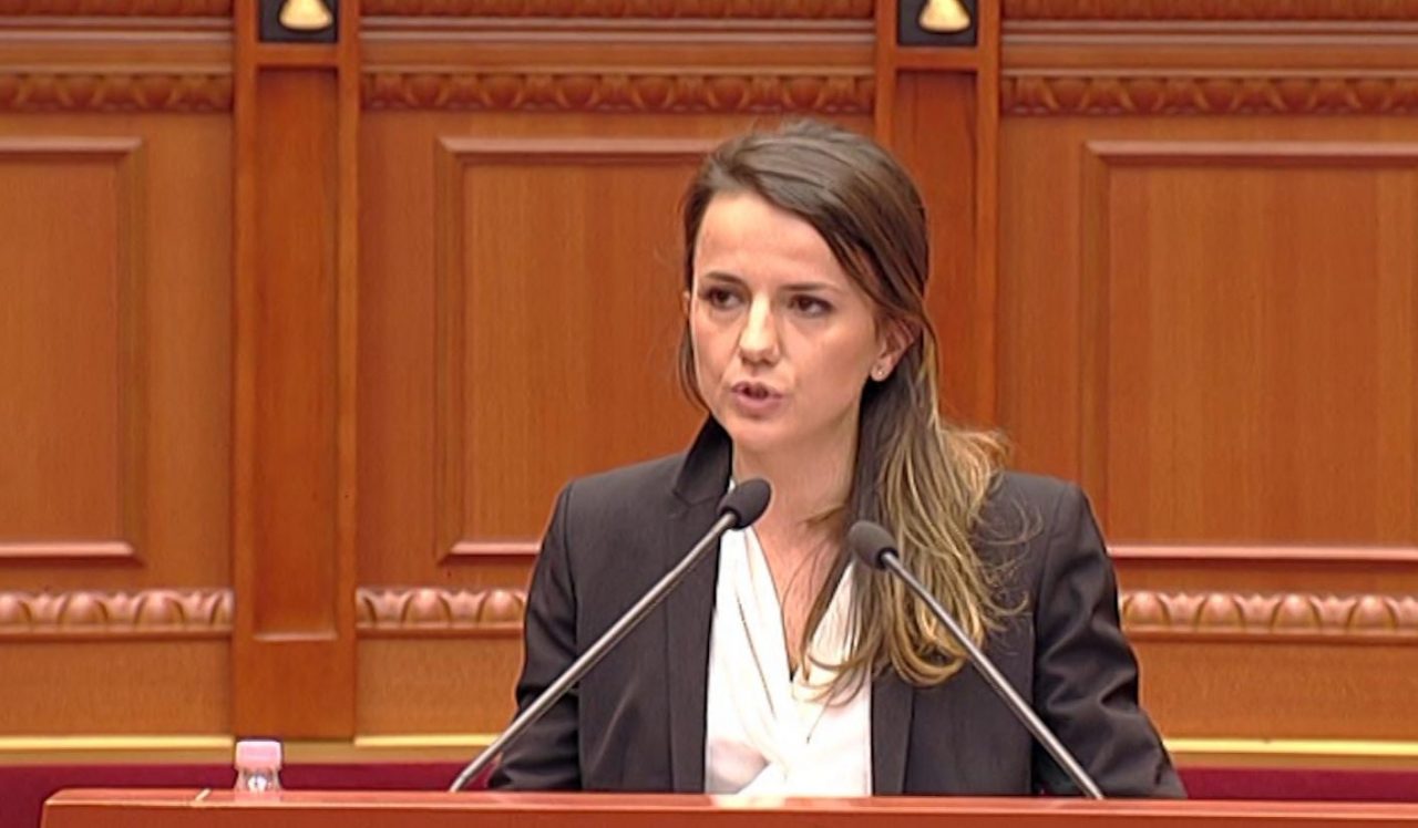 Ligji për median online, Rudina Hajdari: Është i llojit &#8220;Putinist&#8221; dhe i shërben pushtetit