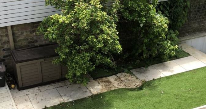 Ra nga rrotat e avionit gjatë fluturimit, ishte punonjës i aeroportit