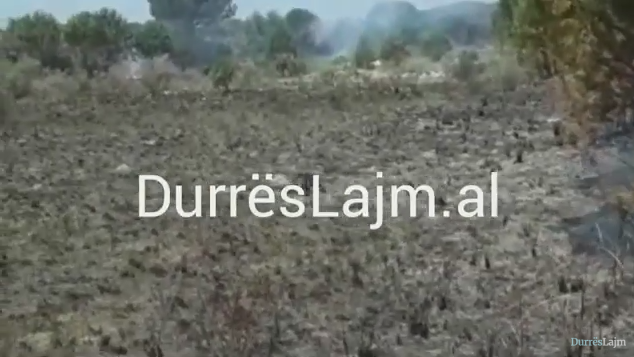 Durrës, flakët shkrumbojnë 1 ha me shkurre (VIDEO)