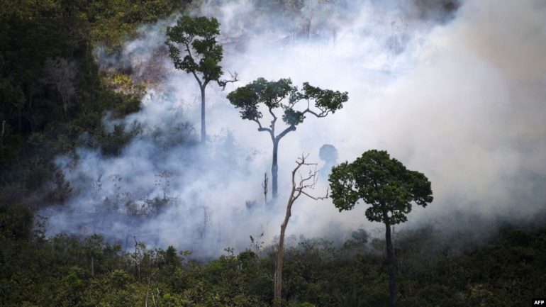Bota e alarmuar për zjarret në Amazonë, të gjithë në këmbë për ndihmë