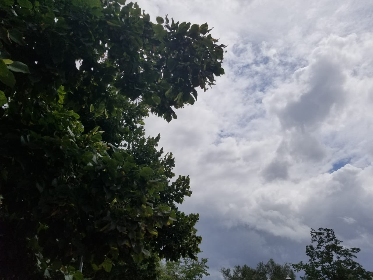 Parashikimi i motit, e shtuna me reshje