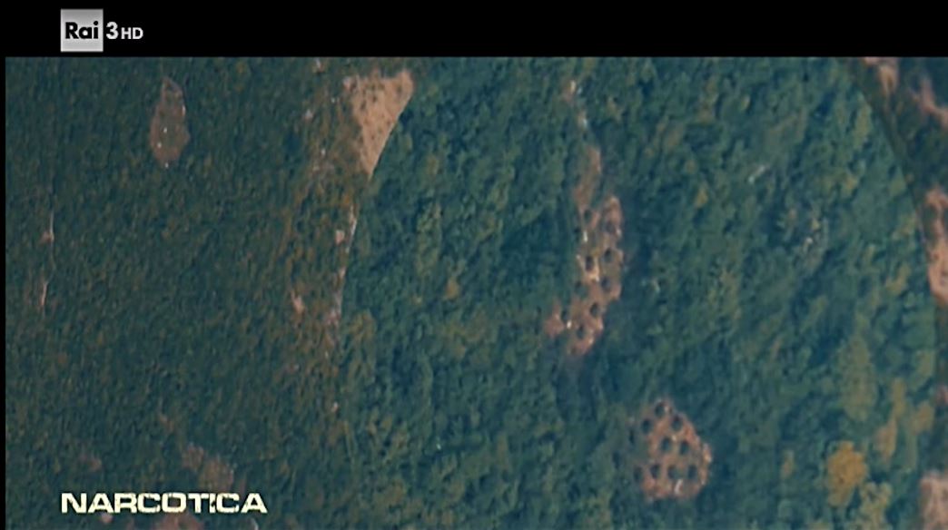 Reportazhi i Rai3 për drogën në Shqipëri, reagon ministri Lleshaj