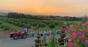 Ndryshojnë rregullat për agroturizmin, qeveria shton kërkesat për subjektet