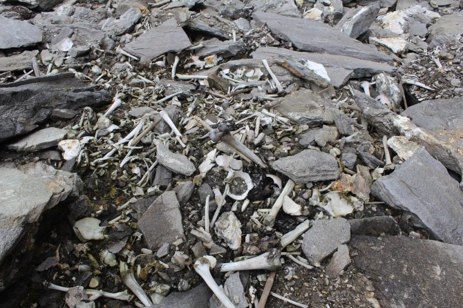 Misteri i liqenit plot me skelete, shkencëtarët publikojnë gjetjet e reja