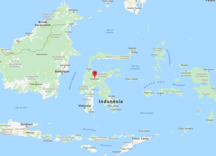 Regjistrohet tërmet i frikshëm 7.4 ballë, alarm për cunami