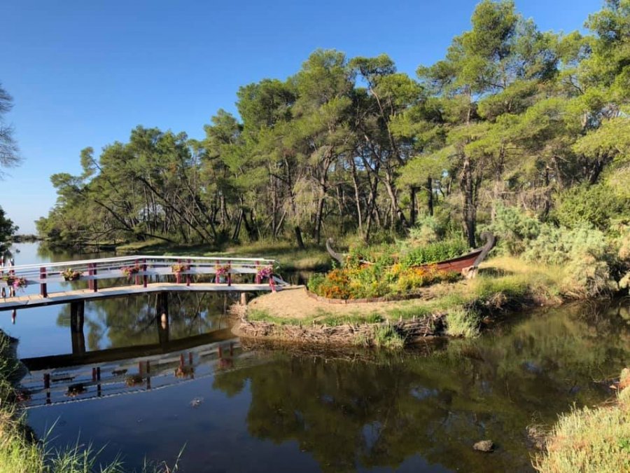 Parashikimi i motit, e enjte 8 gusht