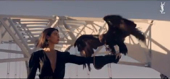 Prapaskenat e fushatës reklamuese, dallga merr para Dua Lipën (VIDEO)