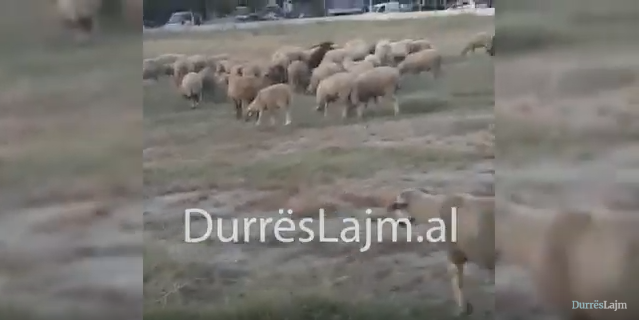 Delet rrethojnë stadiumin e Durrësit! (VIDEO)