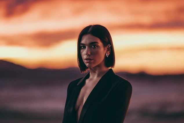 Dua Lipa del kundër kryeministrit