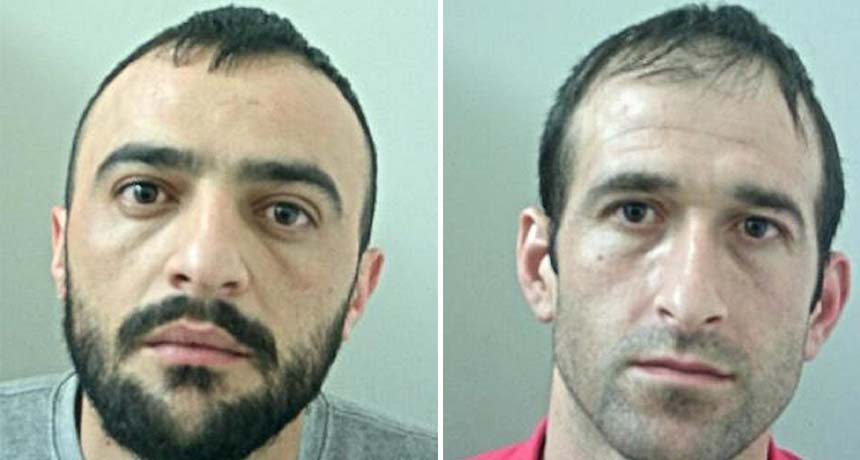 EMRAT/ Dënohen me burg shqiptarët që kultivonin kanabis në shtëpi, përballen edhe me dëbimin