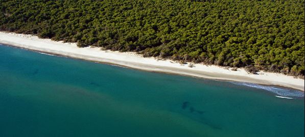 26-vjeçarja shqiptare humb jetën në det, e bija e mitur shpëton