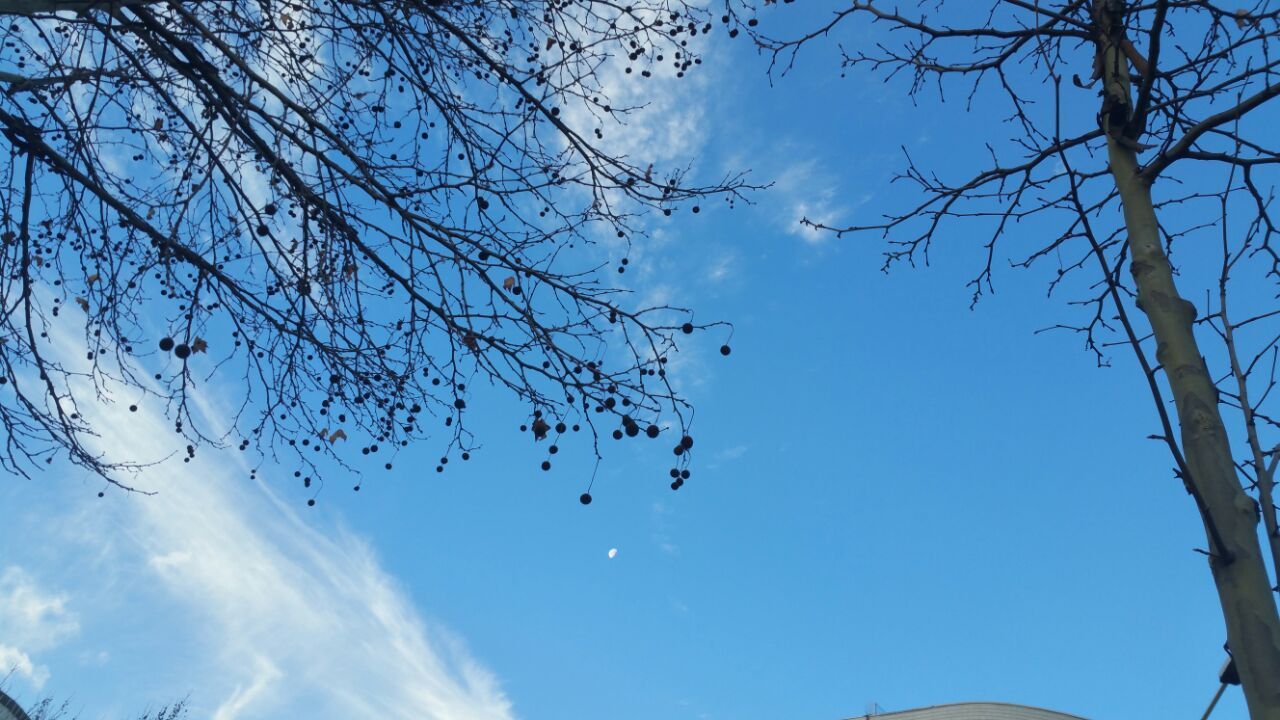 Parashikimi i motit, 17 gusht 2019