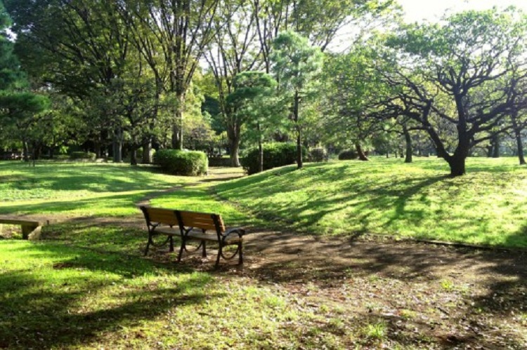 Parashikimi i motit, e diel 11 gusht