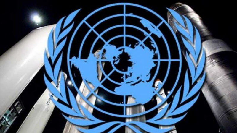 Ekspertët e OKB: Dieta bimore shpëton planetin