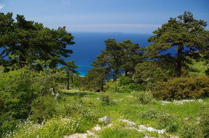 Humbën në Karaburun, gjenden turistët hungarezë
