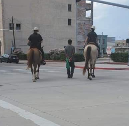 Policia lidh me litar qytetarin me ngjyrë (FOTO)