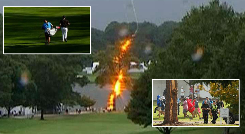 Fshihen poshtë pemës për t’u mbrojtur nga shiu, goditen nga rrufeja